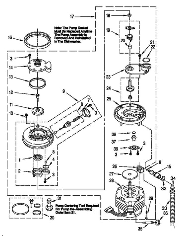 Pump and motor