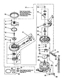 Pump and motor