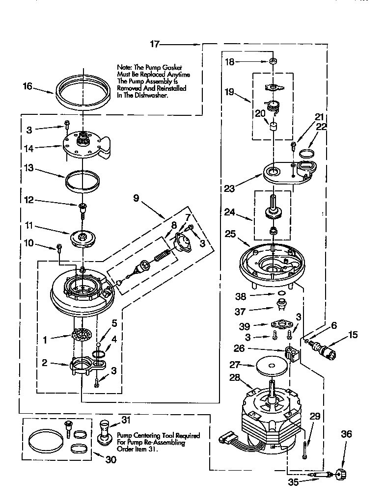 Pump and motor