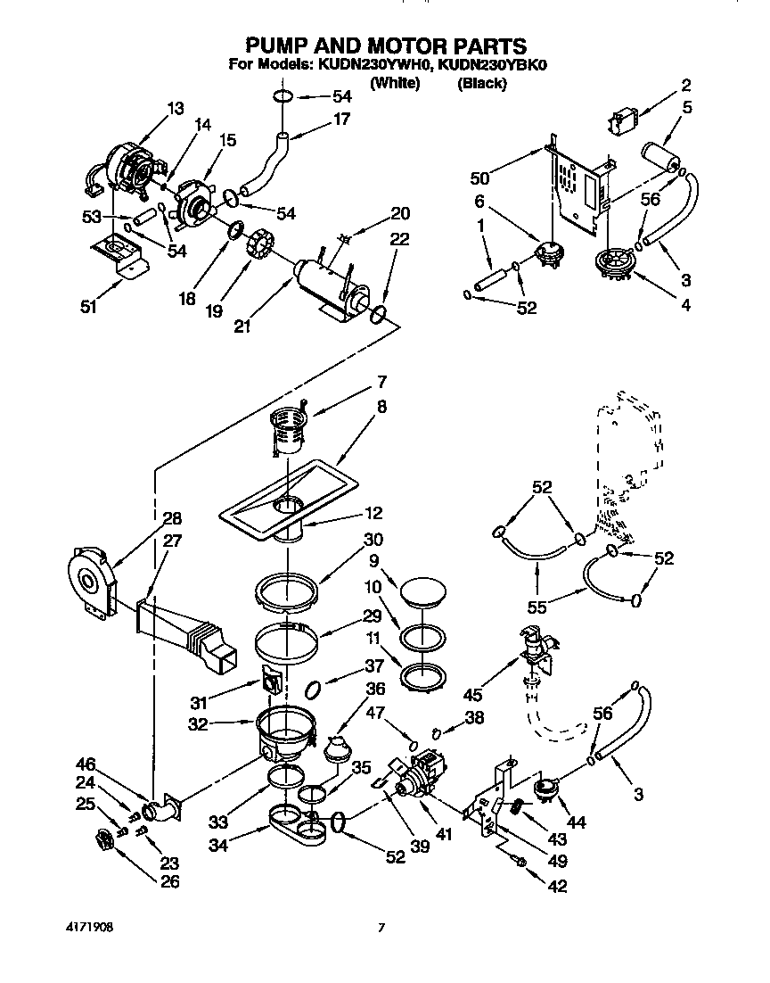 Pump and motor