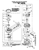 Pump and motor