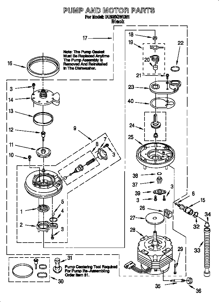 Pump and motor
