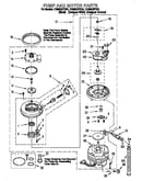 Pump and motor