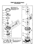 Pump and motor