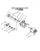 Pump and motor