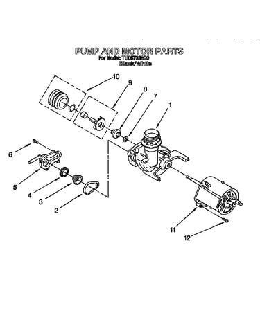 Pump and motor