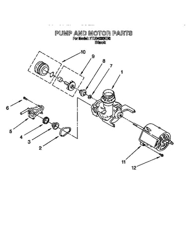 Pump and motor
