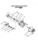 Pump and motor