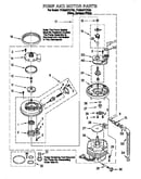 Pump and motor