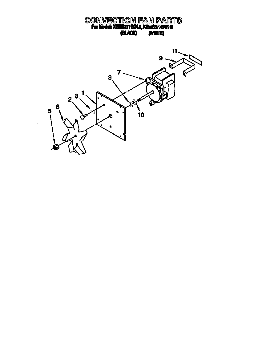 CONVECTION FAN