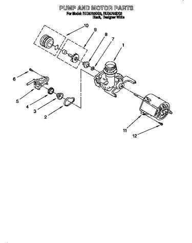 Pump and motor