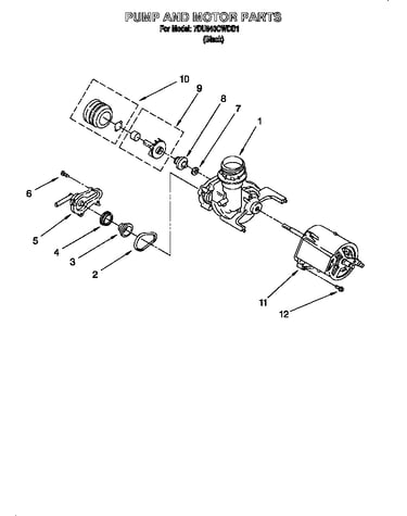 Pump and motor