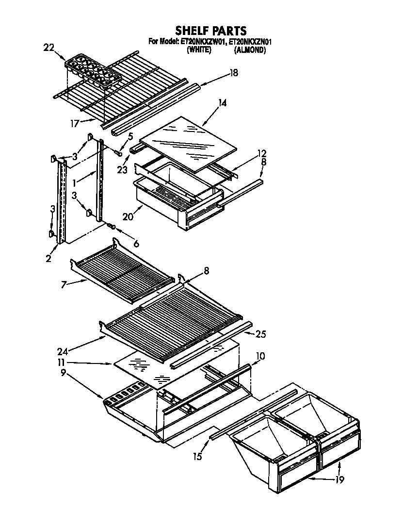 Shelf