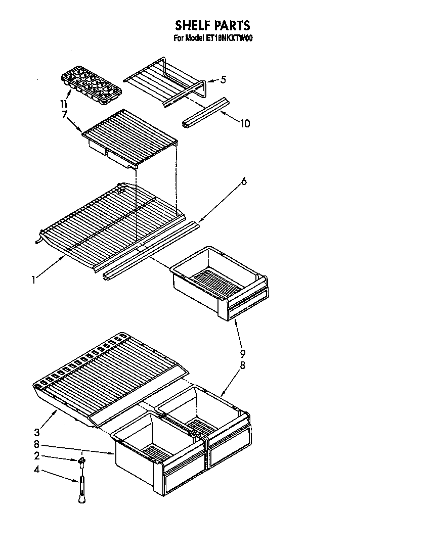 SHELF