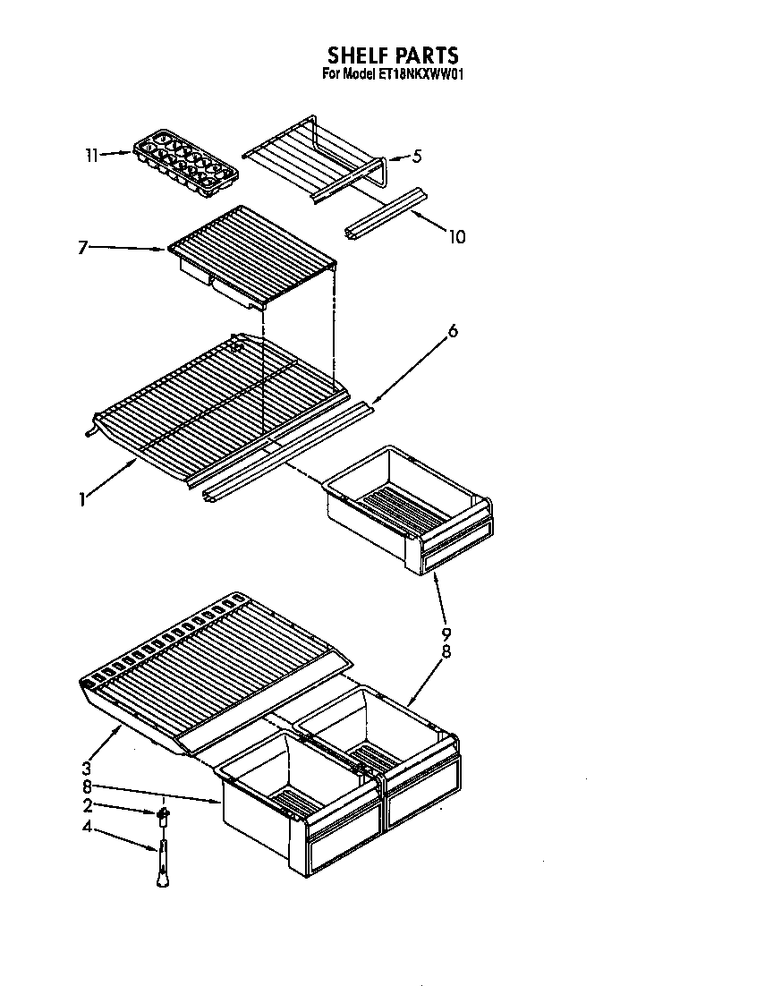Shelf