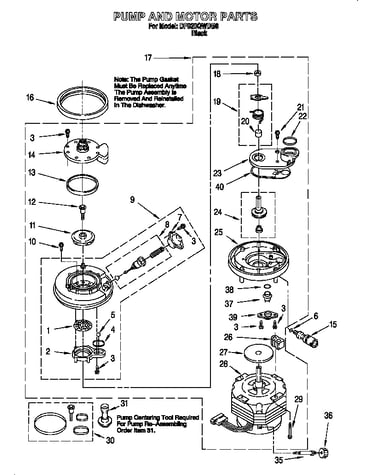 Pump and motor