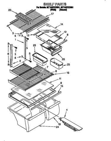 Shelf