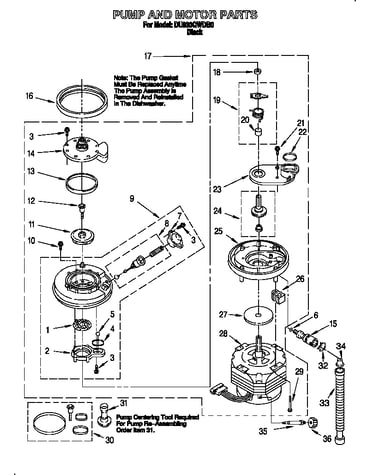 Pump and motor