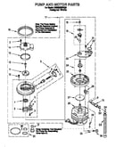 Pump and motor