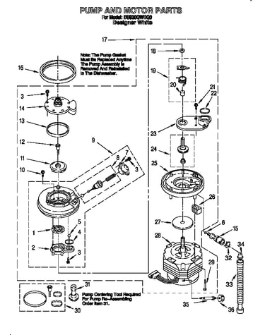 Pump and motor