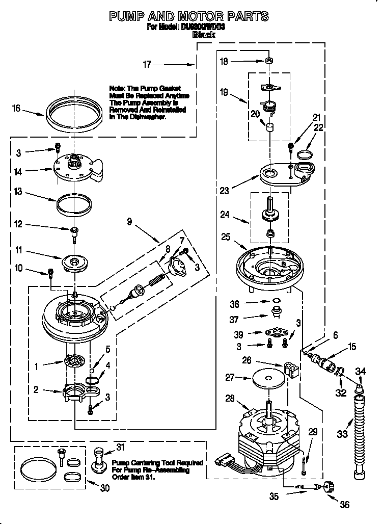 Pump and motor