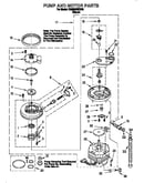 Pump and motor