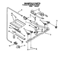 Manifold