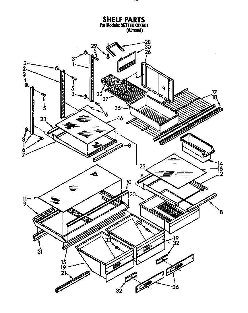 SHELF