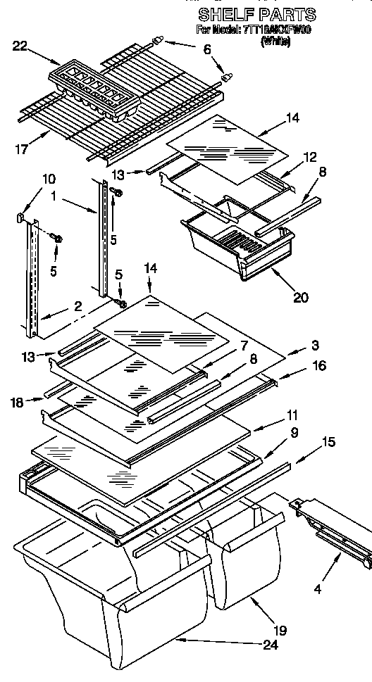 SHELF