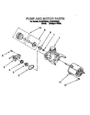 Pump and motor