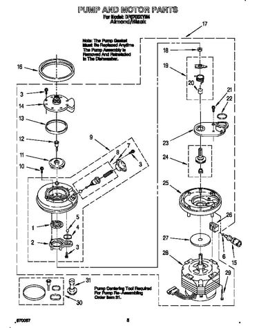 Pump and motor