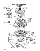 Pump and motor