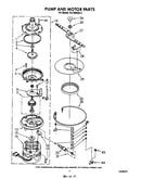 Pump and motor