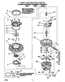 Pump and motor