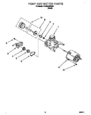 Pump and motor
