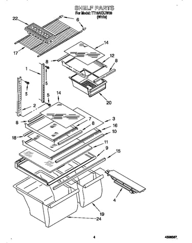 Shelf