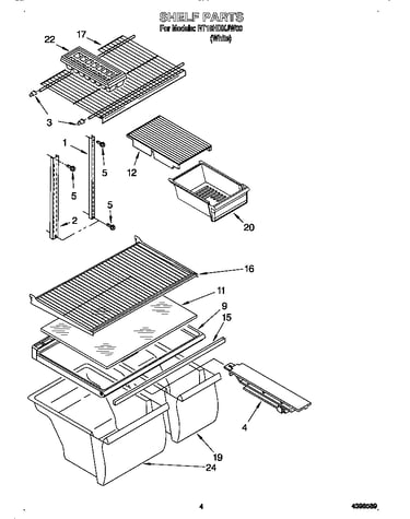 Shelf