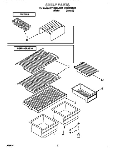 Shelf