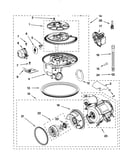 Pump and motor