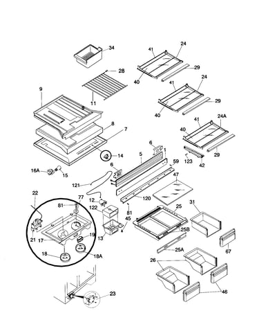 Shelves