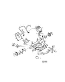 Rotary lawn mower