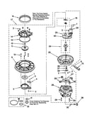 Pump and motor