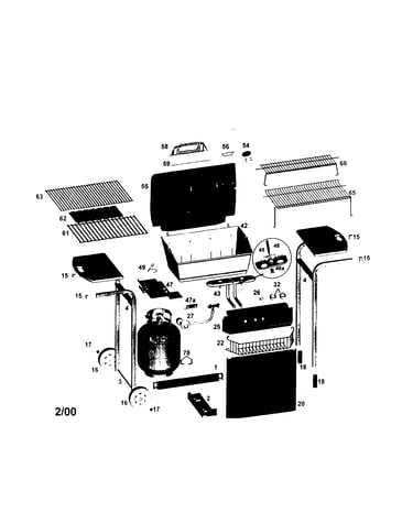 Propane grill