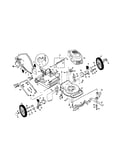 Rotary lawn mower