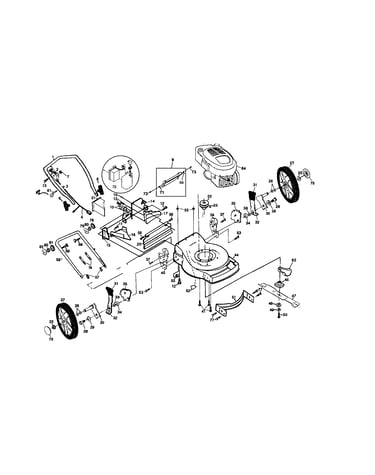Rotary lawn mower