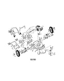 Rotary lawn mower