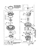 Pump and motor