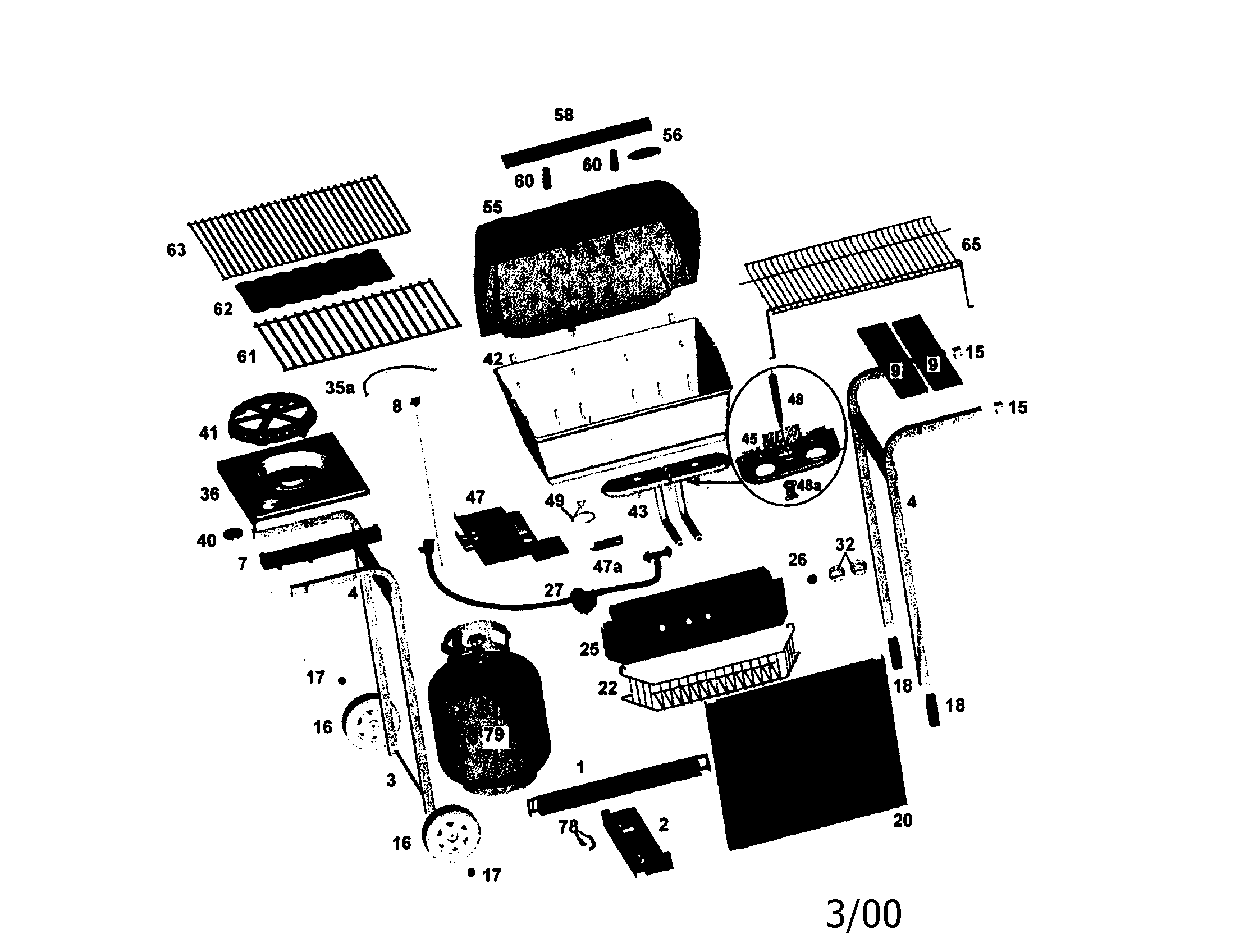 Gas grill