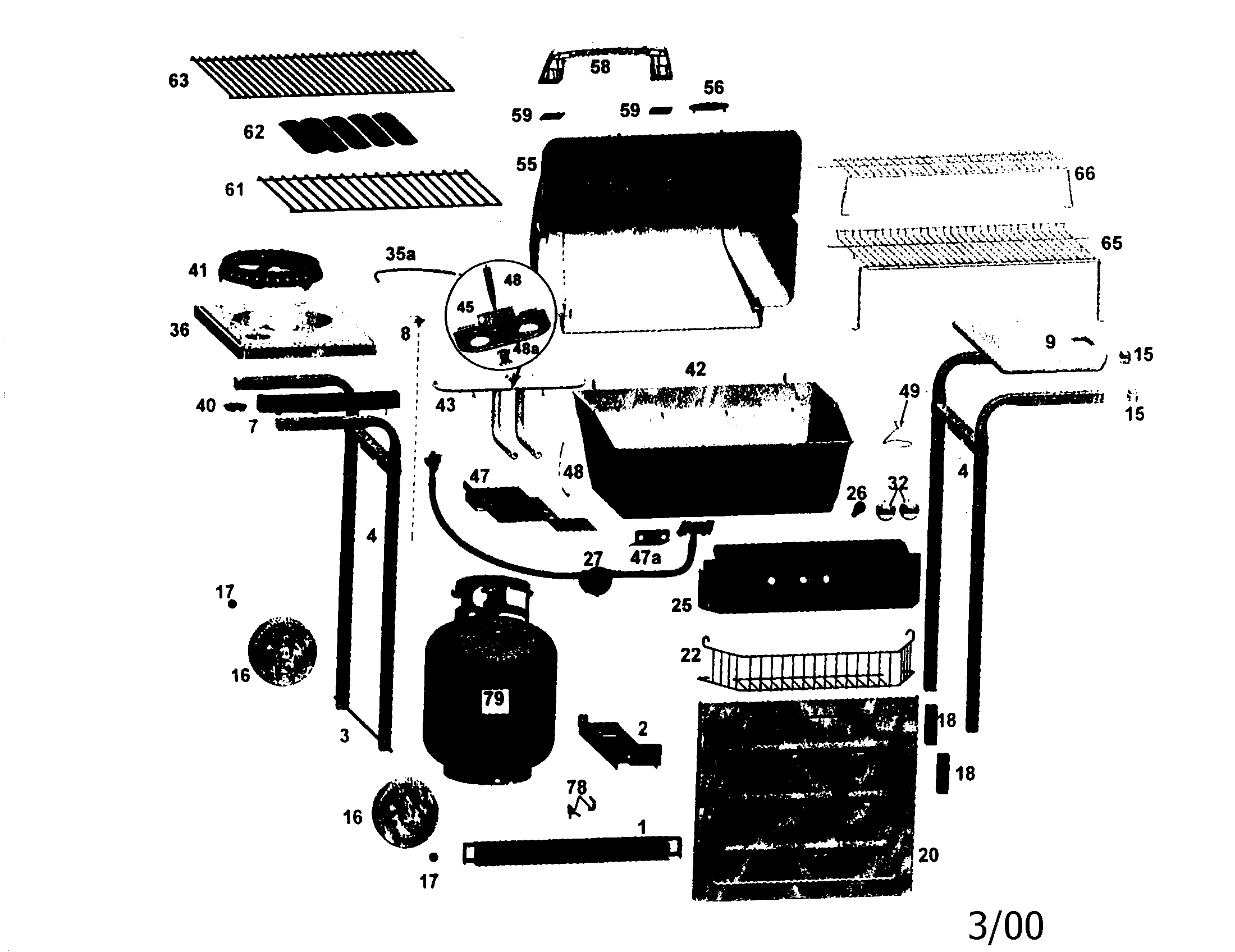Gas grill