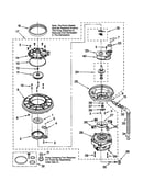 Pump and motor